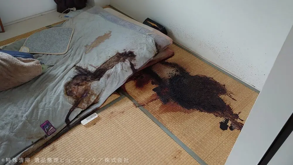 清乾隆乙丑年 内務府監製 （古い傷、修理あり、状態は写真の通り）（A