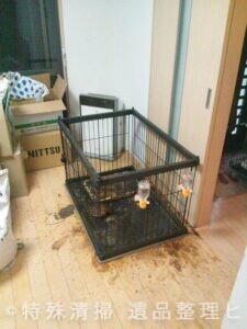 腐乱犬　特殊清掃